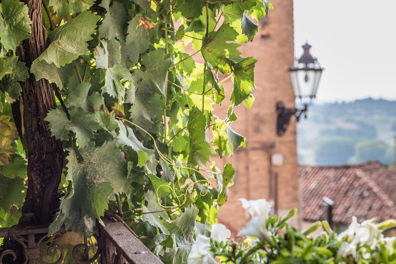 B&B Antico Tralcio Antignano  Exteriér fotografie
