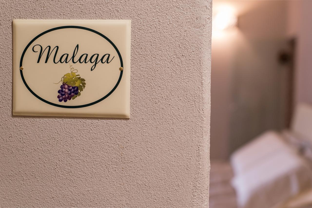 B&B Antico Tralcio Antignano  Exteriér fotografie